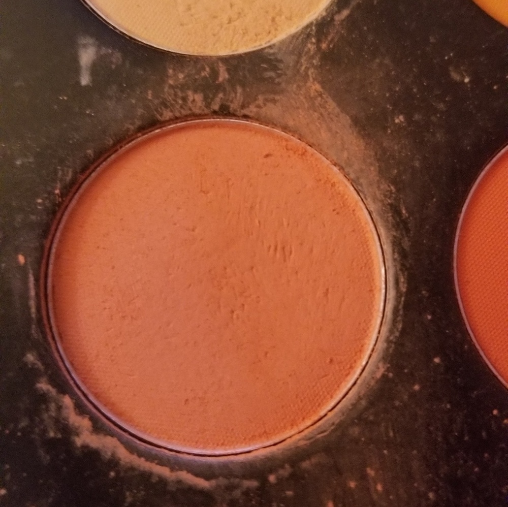 Meet your Posher, Tara